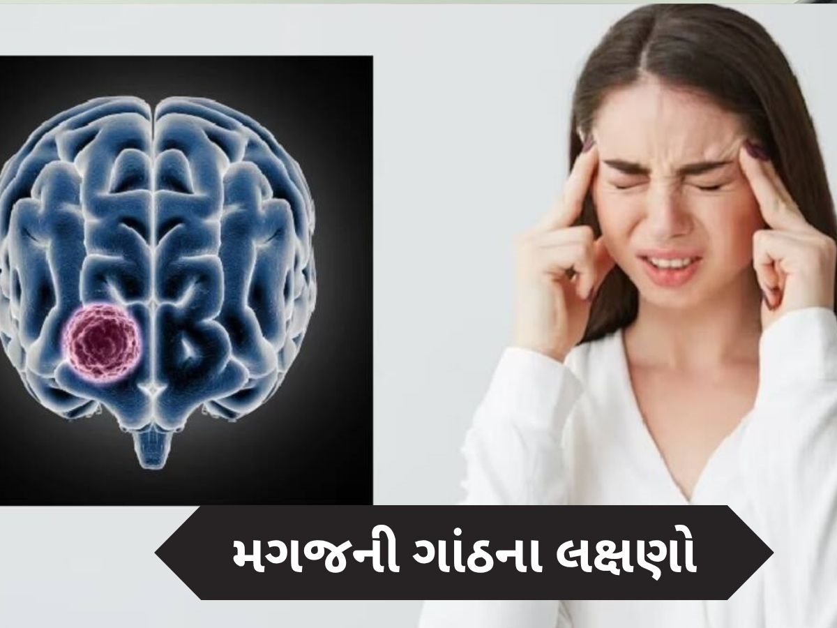 બ્રેન ટ્યુમર થાય તો જોવા મળે છે આ 5 લક્ષણ, સામાન્ય સમજી નજરઅંદાજ કરશો તો પડશે ભારે બ્રેન ટ્યુમર થાય તો જોવા મળે છે આ 5 લક્ષણ, સામાન્ય સમજી નજરઅંદાજ કરશો તો પડશે ભારે