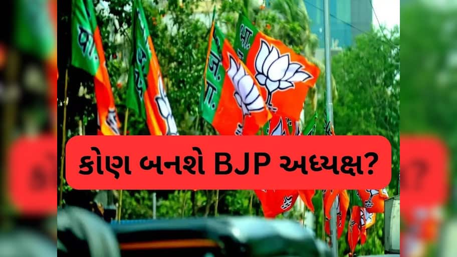  15 ઓગસ્ટ બાદ ભાજપના નવા અધ્યક્ષની થશે જાહેરાત, રેસમાં ચાર નામ, ટોચના નામ વિશે જાણીને તમે ચોંકી જશો