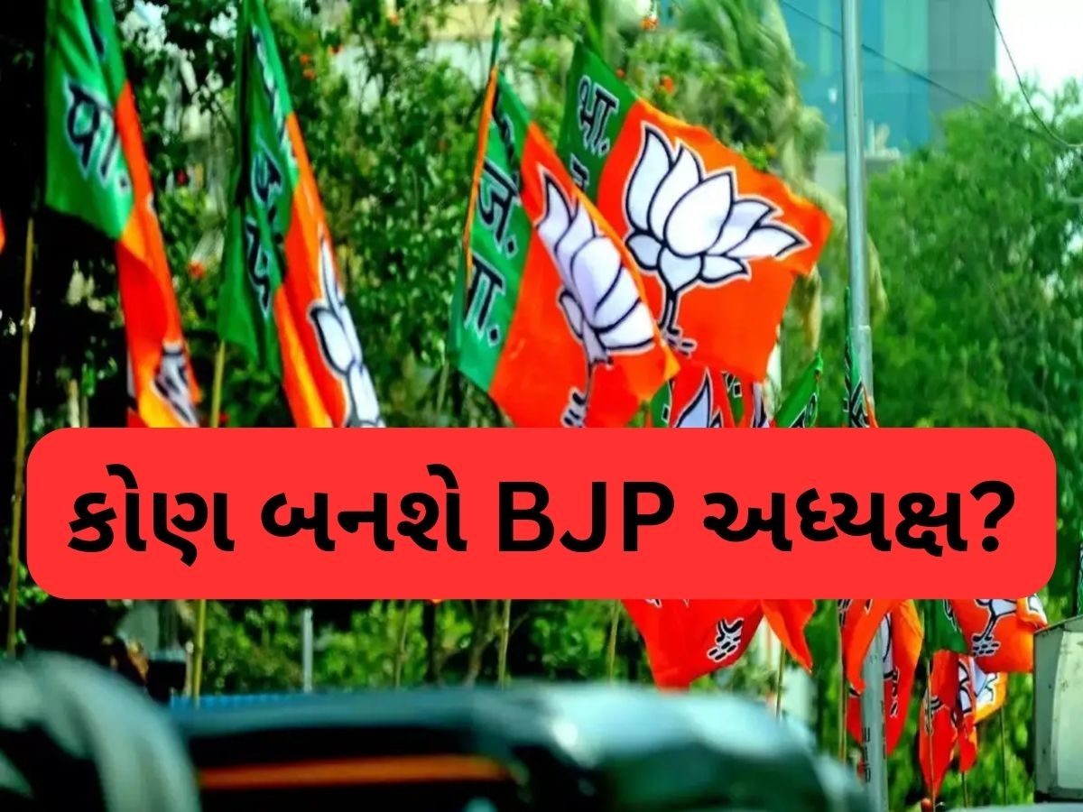 15 ઓગસ્ટ બાદ ભાજપના નવા અધ્યક્ષની થશે જાહેરાત, રેસમાં ચાર નામ, ટોચના નામ વિશે જાણીને તમે ચોંકી જશો 15 ઓગસ્ટ બાદ ભાજપના નવા અધ્યક્ષની થશે જાહેરાત, રેસમાં ચાર નામ, ટોચના નામ વિશે જાણીને તમે ચોંકી જશો