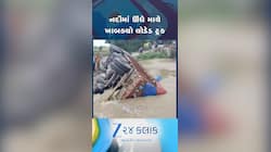 ગંગટી નદીમાં મકાઇથી ભરેલો ટ્રક ખાબક્યો! બિહારના મુંગેરમાં વરસાદથી તબાહીના દ્રશ્યો...