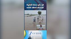 VIDEO: ખેતરો પાણીમાં ડૂબ્યા, હરિયાણાના ઝજ્જરમાં જ્યાં જુઓ ત્યાં તબાહીના દ્રશ્યો...