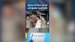 MNSએ ગુજરાત ભાજપ MLAને ધમકી!મુંબઇમાં ગુજરાતી બોર્ડ ઉતારી લેવા 24કલાકનું અલ્ટિમેટમ...