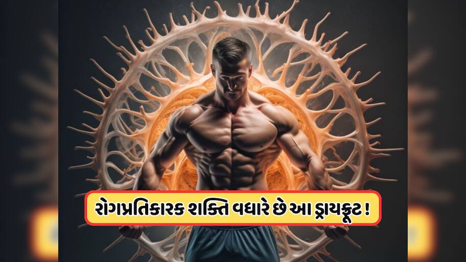 ફક્ત એક ડ્રાયફ્રૂટથી વધારો શરીરની તાકત, દરરોજ તેને પલાળીને કરો સેવન