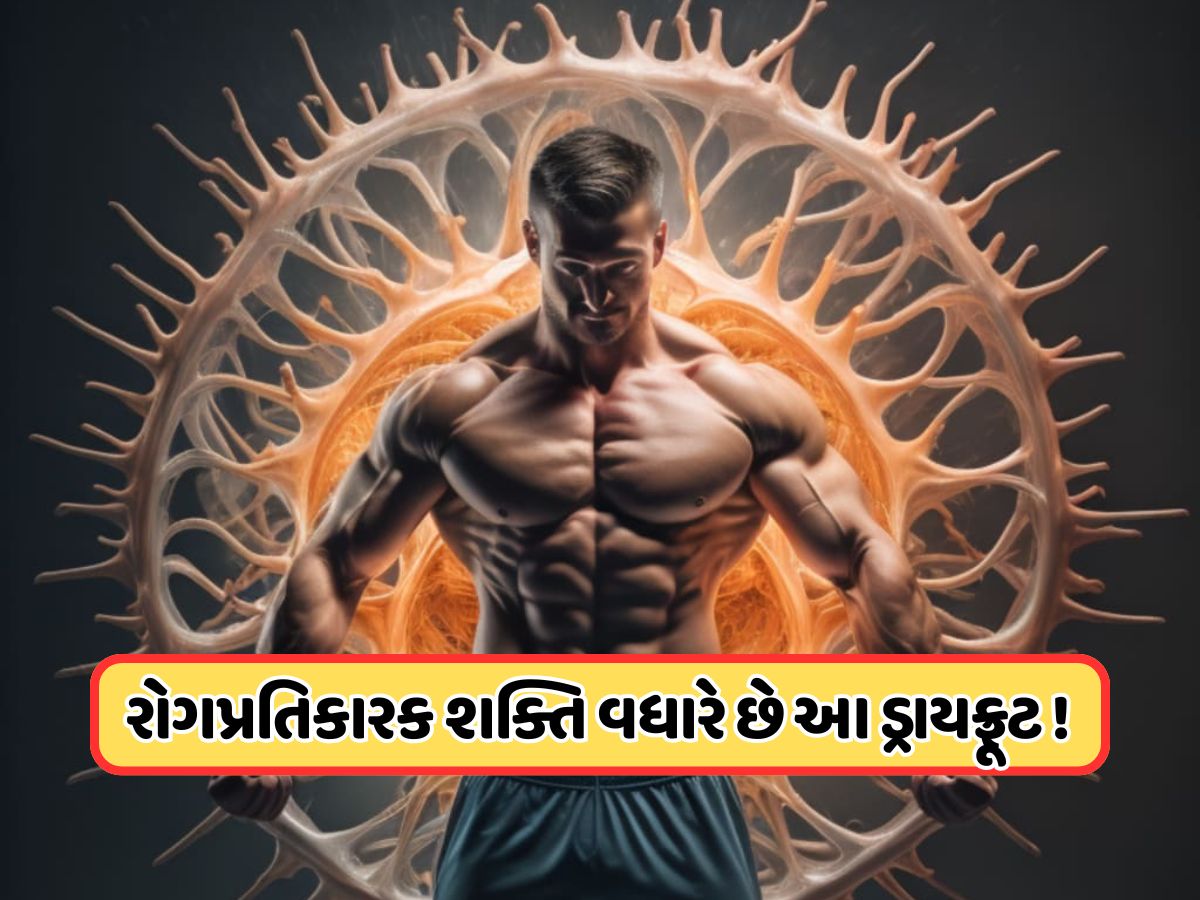 ફક્ત એક ડ્રાયફ્રૂટથી વધારો શરીરની તાકત, દરરોજ તેને પલાળીને કરો સેવન ફક્ત એક ડ્રાયફ્રૂટથી વધારો શરીરની તાકત, દરરોજ તેને પલાળીને કરો સેવન