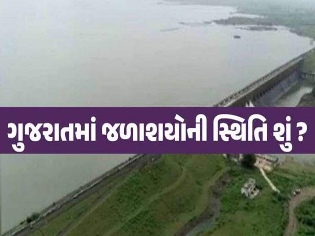 ગુજરાતની જીવાદોરી સમાન સરદાર સરોવર ડેમમાં 54.90 ટકા ભરાયો, કચ્છમાં વરસ્યો સૌથી વધુ વરસાદ
