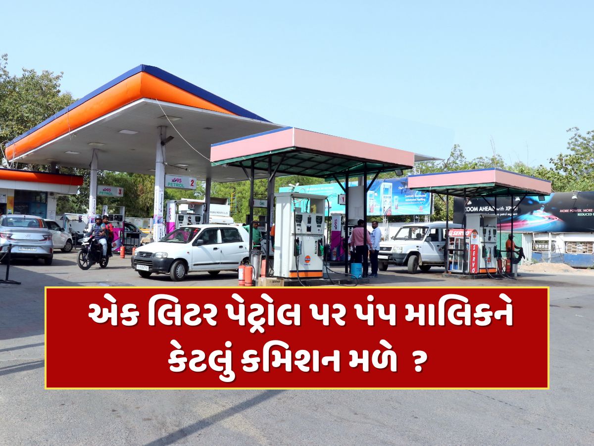 એક લિટર પેટ્રોલ-ડીઝલ પર કેટલું કમાય છે પંપ માલિક ? કમાણી જાણીને ચોંકી જશો એક લિટર પેટ્રોલ-ડીઝલ પર કેટલું કમાય છે પંપ માલિક ? કમાણી જાણીને ચોંકી જશો