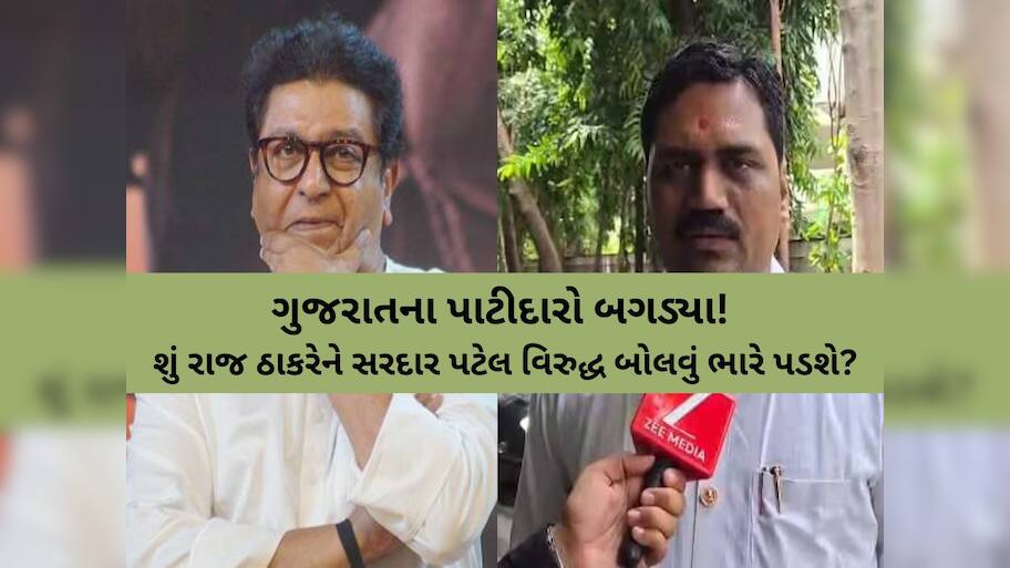 સરદાર પટેલના અપમાન અંગે રાજ ઠાકરે પર બગડ્યા અલ્પેશ કથીરિયા? મનસે નેતાને આપી 'વોર્નિંગ'