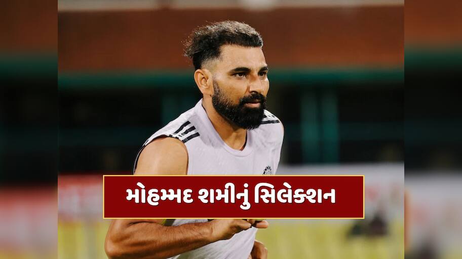 ટેસ્ટ સિરીઝ વચ્ચે અચાનક આવ્યા મોટા સમાચાર, મોહમ્મદ શમીની થઈ પસંદગી, ચાહકોમાં ખુશીની લહેર