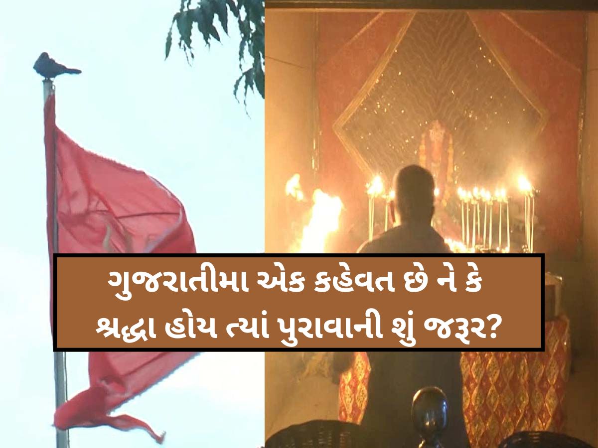 એક માત્ર એવું મંદિર જ્યાં આરતી સમયે ધજા પર આવીને બેસે છે ધર્મ પ્રેમી કાગડો...સમય હોય તો મુલાકાત લેજો! એક માત્ર એવું મંદિર જ્યાં આરતી સમયે ધજા પર આવીને બેસે છે ધર્મ પ્રેમી કાગડો...સમય હોય તો મુલાકાત લેજો!