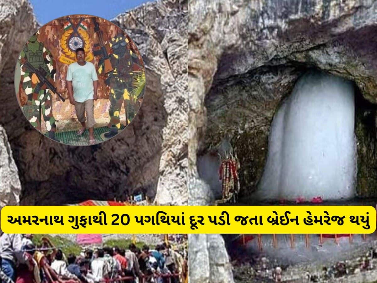 બાબા અમરનાથના દર્શન પણ નસીબ ન થયા, ગુફાથી 20 પગથિયા દૂર વડોદરાવાસીને આવ્યું મોત 