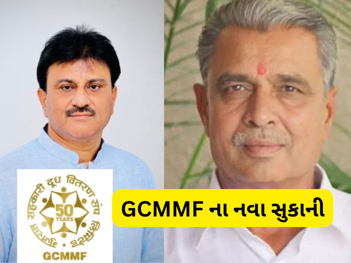 GCMMF માં પરિવર્તન : અશોક ચૌધરી બન્યા નવા સુકાની, ગોરધન ધામેલિયા વાઈસ ચેરમેન GCMMF માં પરિવર્તન : અશોક ચૌધરી બન્યા નવા સુકાની, ગોરધન ધામેલિયા વાઈસ ચેરમેન