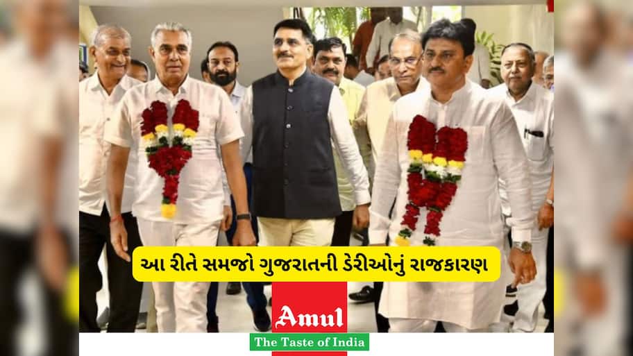 ગુજરાતમાં આ 4 દૂધ ડેરીઓનો સિક્કો વાગે છે, ચેરમેન પણ એમના જ બને! આવું છે સફેદ દૂધનું રાજકારણ