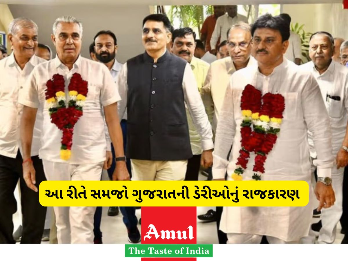 ગુજરાતમાં આ 4 દૂધ ડેરીઓનો સિક્કો વાગે છે, ચેરમેન પણ એમના જ બને! આવું છે સફેદ દૂધનું રાજકારણ ગુજરાતમાં આ 4 દૂધ ડેરીઓનો સિક્કો વાગે છે, ચેરમેન પણ એમના જ બને! આવું છે સફેદ દૂધનું રાજકારણ