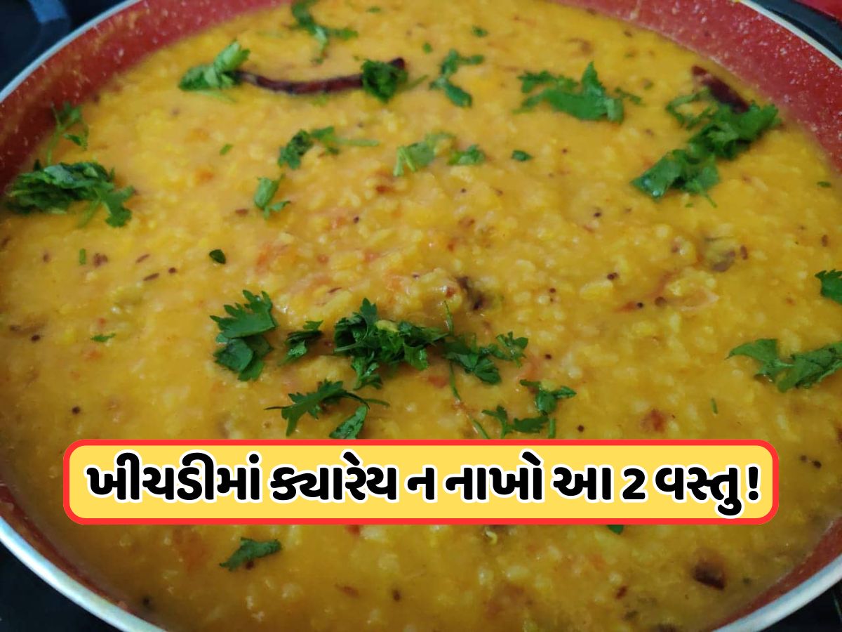 ક્યારેય ખીચડીમાં ન ઉમેરવી જોઈએ આ 2 વસ્તુ, સ્વાદ જ નહીં પરંતુ સ્વાસ્થ્યને પણ પહોંચાડી શકે છે નુકસાન ! ક્યારેય ખીચડીમાં ન ઉમેરવી જોઈએ આ 2 વસ્તુ, સ્વાદ જ નહીં પરંતુ સ્વાસ્થ્યને પણ પહોંચાડી શકે છે નુકસાન !