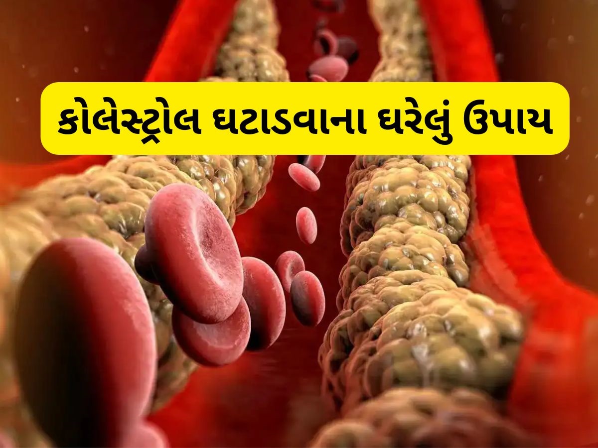 આ પાણી ખાલી પેટ પીઓ, તમારી નસોમાં જામેલા બેડ કોલેસ્ટ્રોલને કરશે દૂર! આ પાણી ખાલી પેટ પીઓ, તમારી નસોમાં જામેલા બેડ કોલેસ્ટ્રોલને કરશે દૂર!