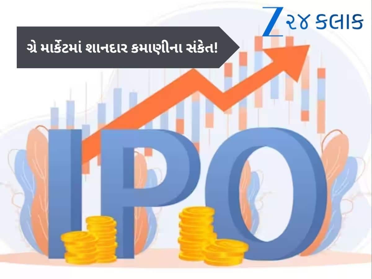  ઓપન થતાં પહેલા ₹176 ના ફાયદાનો સંકેત, 29 જુલાઈએ ખુલશે  IPO, ચેક કરો વિગત