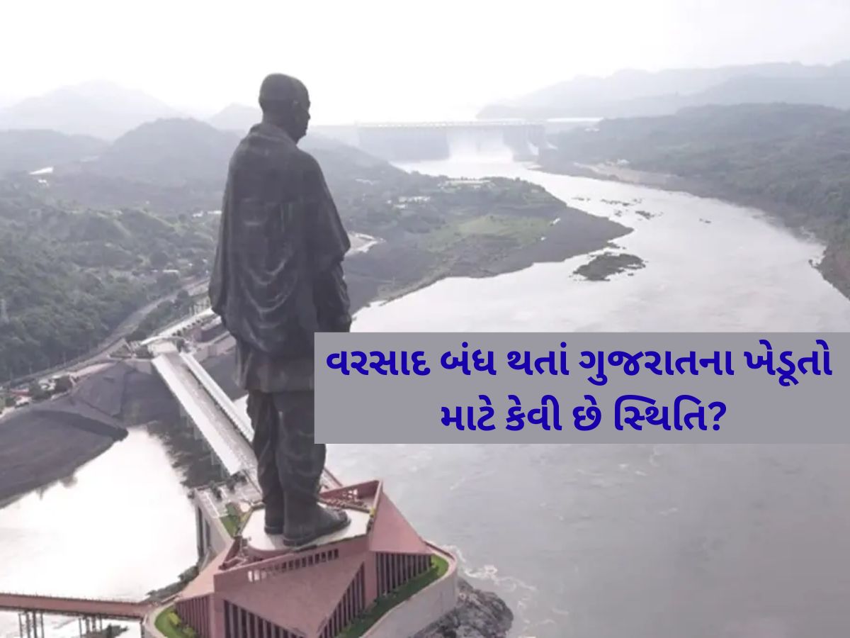 ગુજરાતની જીવાદોરી સરદાર સરોવર ડેમ કેટલો ભરાયો? વરસાદ બંધ થતાં કેટલી છે ચિંતાજનક સ્થિતિ? ગુજરાતની જીવાદોરી સરદાર સરોવર ડેમ કેટલો ભરાયો? વરસાદ બંધ થતાં કેટલી છે ચિંતાજનક સ્થિતિ?