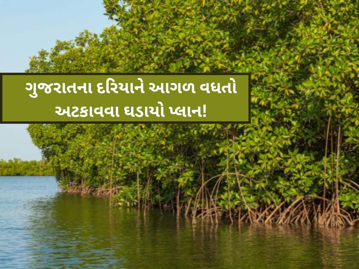 આ યોજના હેઠળ ગુજરાતના દરિયાને આગળ વધતો અટકાવશે! અનોખી સિદ્ધિ સાથે દેશમાં પ્રથમ સ્થાન