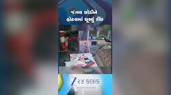 જંગલ છોડીને હોટલમાં ઘૂસ્યું રીંછ અને પછી....! હિલ સ્ટેશન માઉન્ટ આબુનો વીડિયો વાયરલ