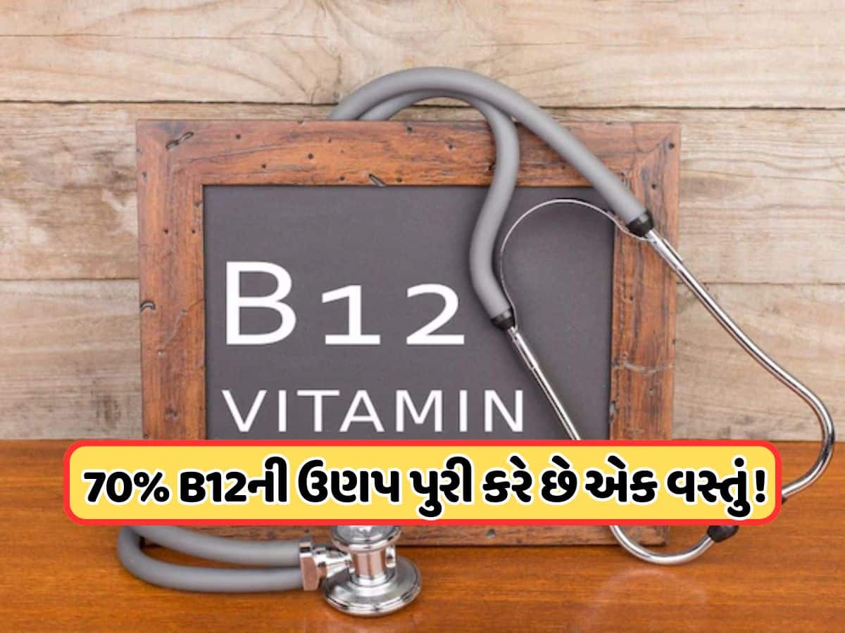 વિટામિન B12 વધારવા માટે શાકાહારીઓએ શું ખાવું જોઈએ? ડૉક્ટરે કહ્યું કે આ વસ્તુઓ ખાવાથી તમારા શરીરમાં ભરાઈ જશે શક્તિ