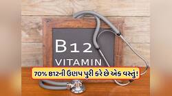 વિટામિન B12 વધારવા માટે શાકાહારીઓએ શું ખાવું જોઈએ? જાણો ડોક્ટરે શું કહ્યું ?
