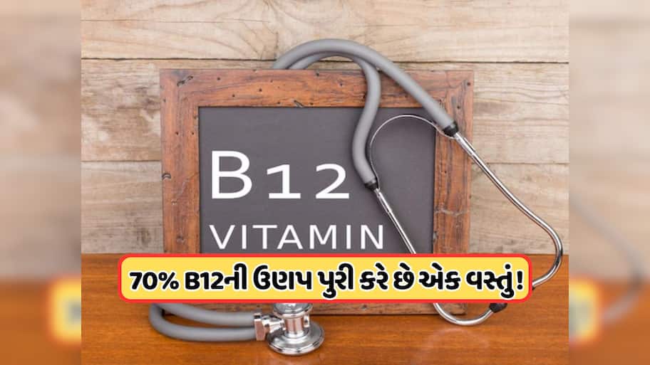 વિટામિન B12 વધારવા માટે શાકાહારીઓએ શું ખાવું જોઈએ? ડૉક્ટરે કહ્યું કે આ વસ્તુઓ ખાવાથી તમારા શરીરમાં ભરાઈ જશે શક્તિ