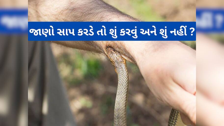 Snake Bite First Aid: વરસાદી વાતાવરણમાં વધે છે સાપ કરડવાનું જોખમ, જાણો સાપ કરડે તો જીવ બચાવવા શું કરવું? 