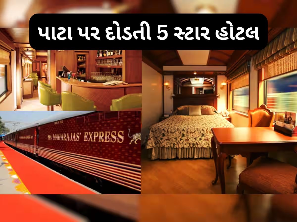 ભારતમાં સૌથી મોંઘી રેલ યાત્રા, એક ટિકિટની કિંમત 20 લાખ રૂપિયા, 5 સ્ટાર હોટલ જેવી મળશે સુવિધા ભારતમાં સૌથી મોંઘી રેલ યાત્રા, એક ટિકિટની કિંમત 20 લાખ રૂપિયા, 5 સ્ટાર હોટલ જેવી મળશે સુવિધા