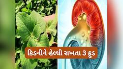 આ 3 ફુડથી બુસ્ટ થશે કિડનીની સપોર્ટ સિસ્ટમ, કંટ્રોલમાં રહેશે યુરિક એસિડ નહીં થાય પથરી