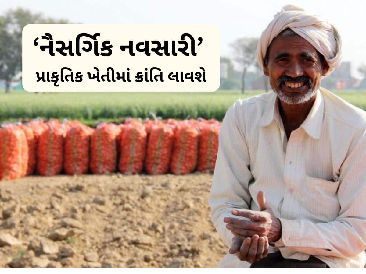 દક્ષિણ ગુજરાતના ખેડૂતોના સુખના દિવસો આવ્યા, પાક ક્યાં વેચવો જવો તેની ઝંઝટમાંથી મળશે મુક્તિ 