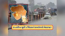 ગુજરાતના 5 જિલ્લા પર મંડરાઈ રહ્યો છે ખતરો, IMDએ આપ્યું ભારે વરસાદનું રેડ એલર્ટ, જાણો