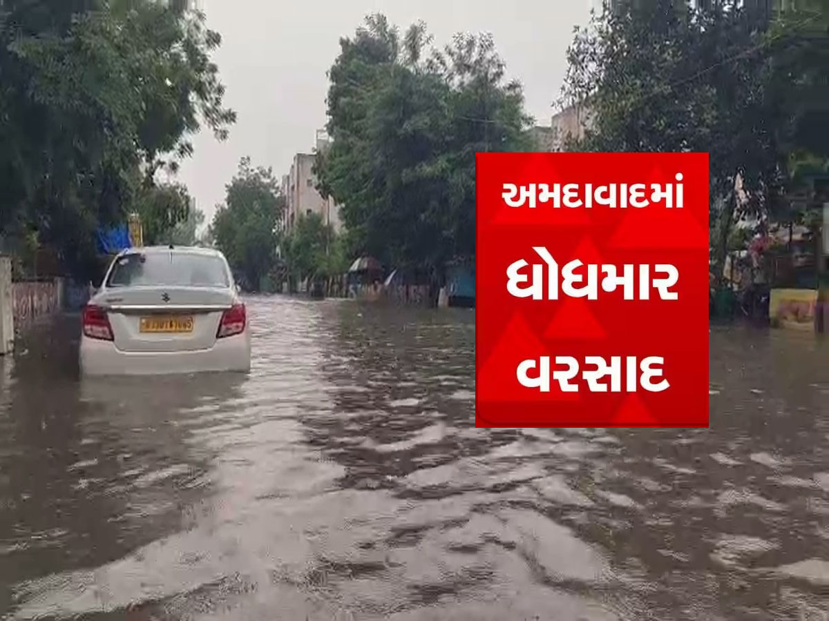 શ્રાવણની શરૂઆત સાથે મેઘાવી માહોલ : ગુજરાતમાં ક્યાં, કેટલો વરસાદ છે અને ક્યાં પાણી ભરાયા, આ છે લેટેસ્ટ અપડેટ શ્રાવણની શરૂઆત સાથે મેઘાવી માહોલ : ગુજરાતમાં ક્યાં, કેટલો વરસાદ છે અને ક્યાં પાણી ભરાયા, આ છે લેટેસ્ટ અપડેટ