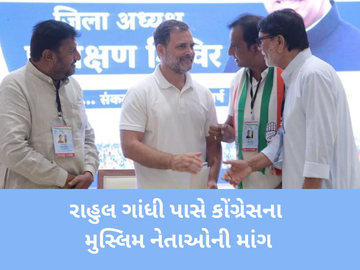 રાહુલ ગાંધી સામે કોંગ્રેસના મુસ્લિમ નેતાઓનું દર્દ છલકાયું! અમારા આ મુદ્દાઓ સંસદમાં ઉઠાવજો પ્લીઝ...! રાહુલ ગાંધી સામે કોંગ્રેસના મુસ્લિમ નેતાઓનું દર્દ છલકાયું! અમારા આ મુદ્દાઓ સંસદમાં ઉઠાવજો પ્લીઝ...!
