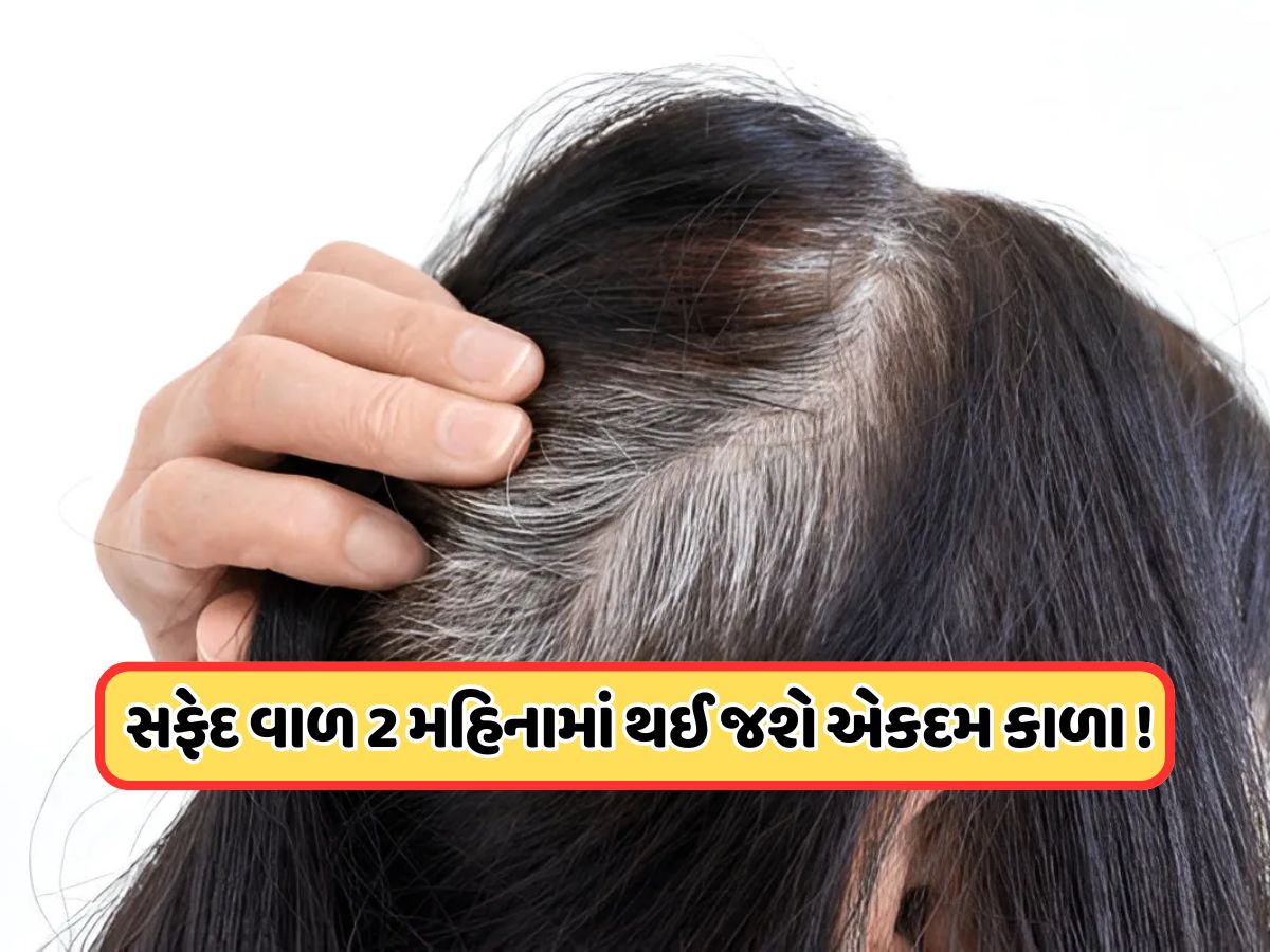 આયુર્વેદિક રીતે સફેદ વાળથી મેળવો છુટકારો, ડોક્ટરે જણાવ્યા ઘરેલું ઉપાય ! આયુર્વેદિક રીતે સફેદ વાળથી મેળવો છુટકારો, ડોક્ટરે જણાવ્યા ઘરેલું ઉપાય !
