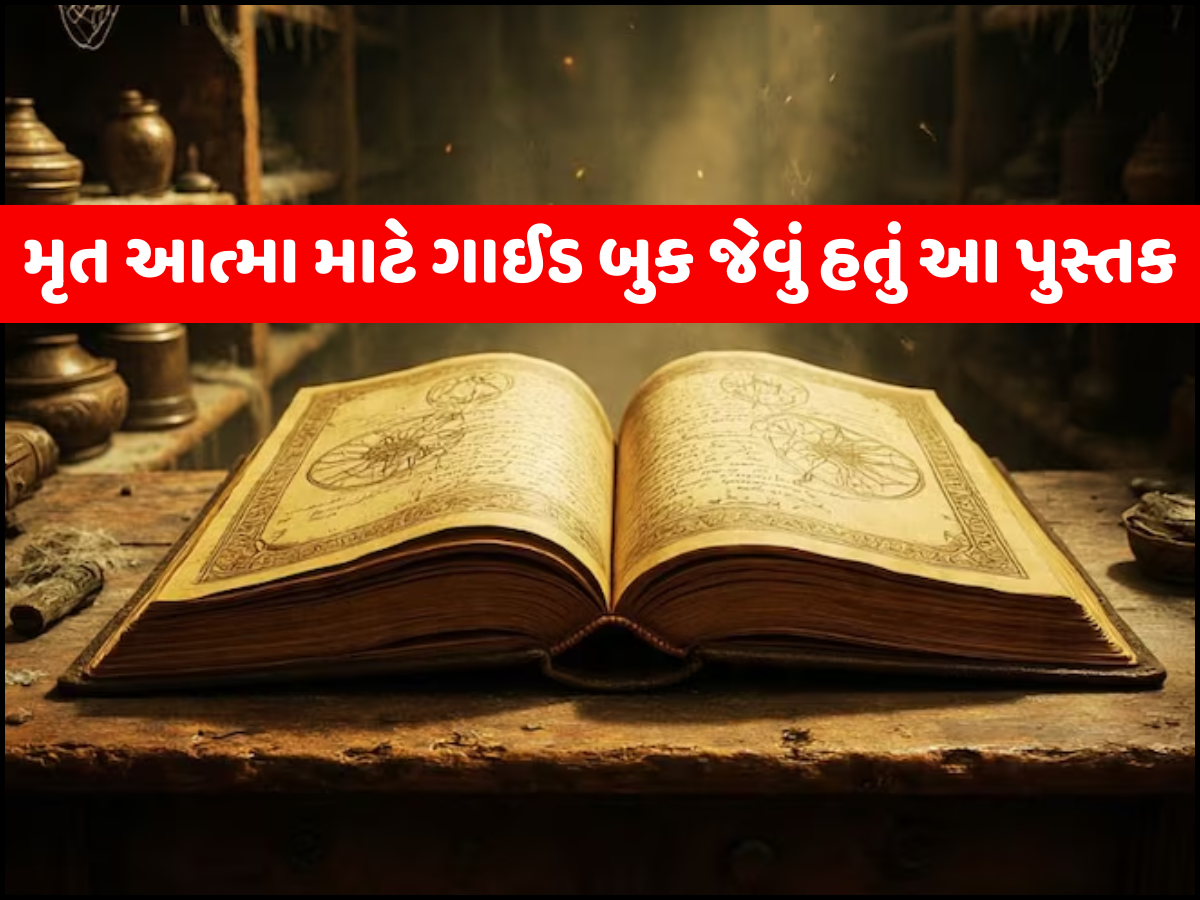 3500 વર્ષ જૂના કબ્રસ્તાનમાં દટાયેલી મળી 'બુક ઓફ ધ ડેડ', જાણો શું છે તેનું રહસ્ય 3500 વર્ષ જૂના કબ્રસ્તાનમાં દટાયેલી મળી 'બુક ઓફ ધ ડેડ', જાણો શું છે તેનું રહસ્ય