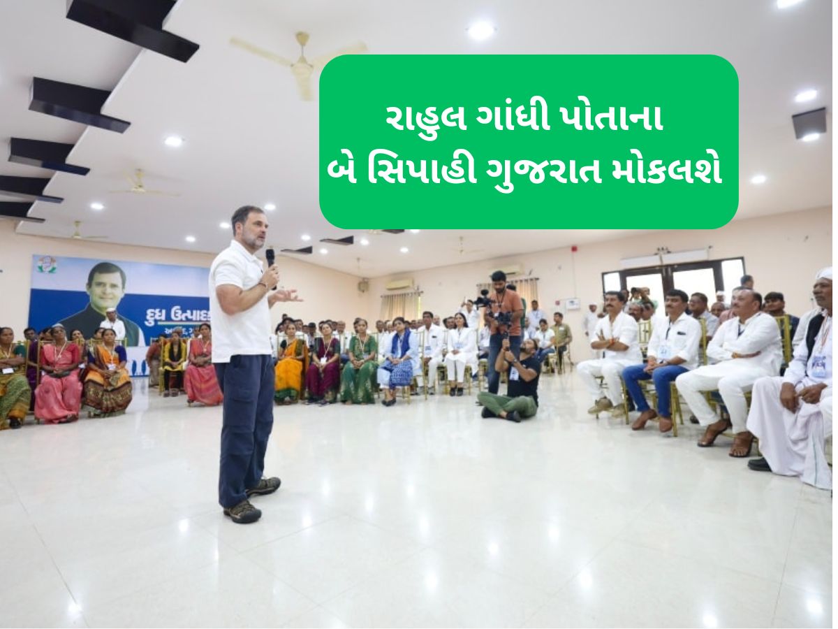 બે સેનાપતિઓને રાહુલ ગાંધી સોંપશે ગુજરાતની જવાબદારી, આ નામ થઈ ગયા ફાઈનલ બે સેનાપતિઓને રાહુલ ગાંધી સોંપશે ગુજરાતની જવાબદારી, આ નામ થઈ ગયા ફાઈનલ