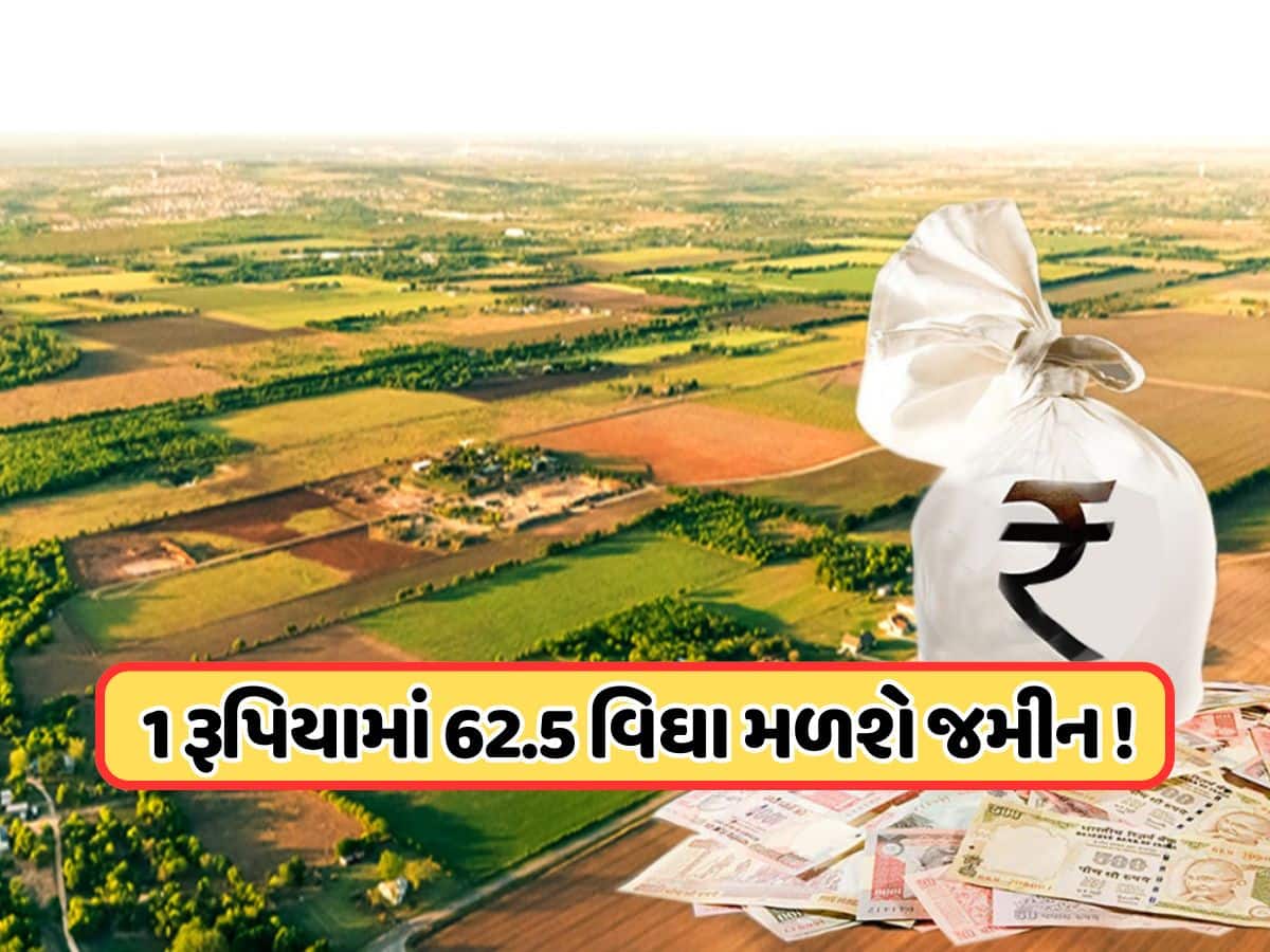  ફક્ત 1 રૂપિયામાં મળી રહી છે 25 એકર જમીન, જાણો કોણ કરી શકે છે અપ્લાય?