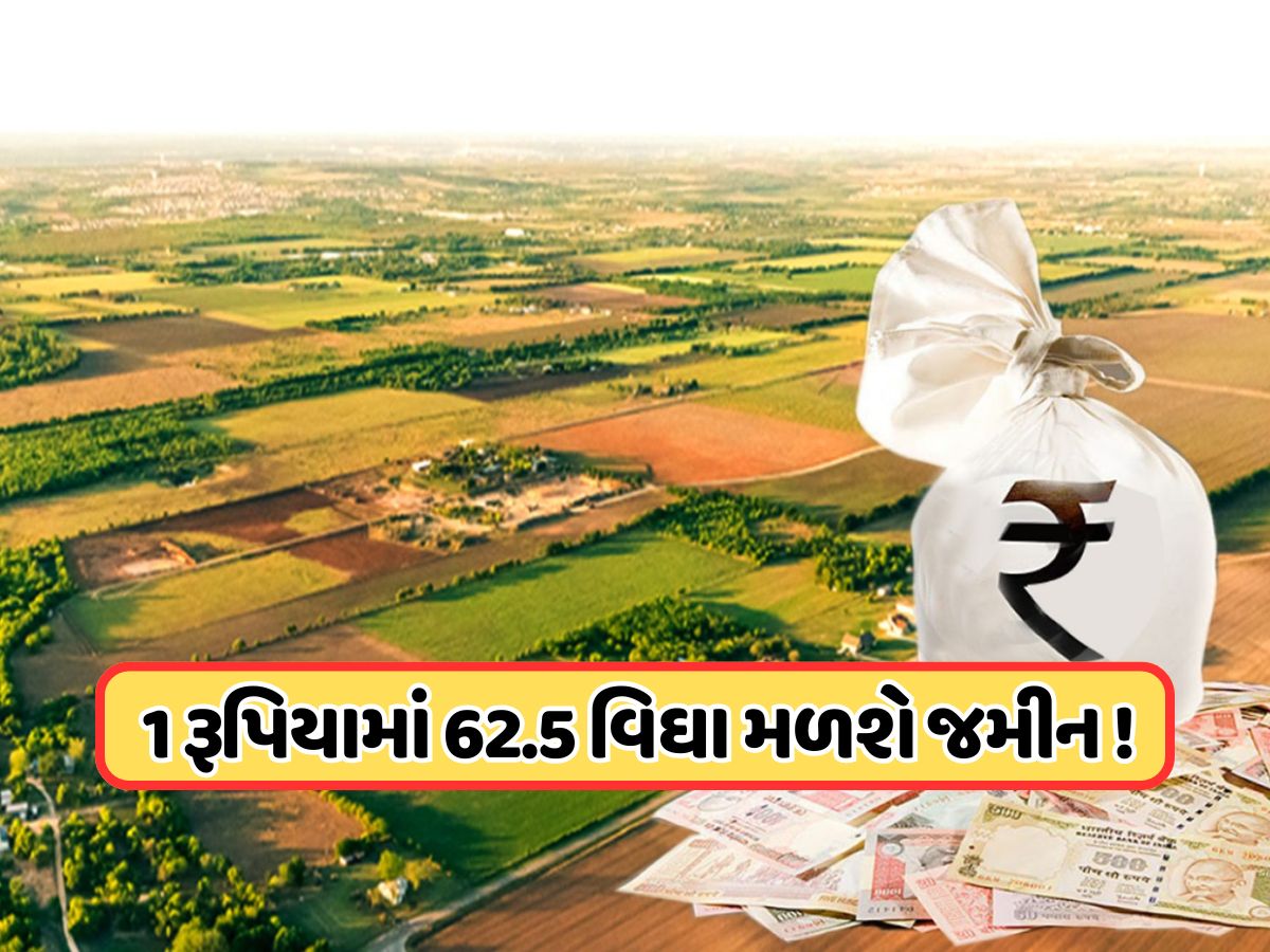 ફક્ત 1 રૂપિયામાં મળી રહી છે 25 એકર જમીન, જાણો કોણ કરી શકે છે અપ્લાય? ફક્ત 1 રૂપિયામાં મળી રહી છે 25 એકર જમીન, જાણો કોણ કરી શકે છે અપ્લાય?