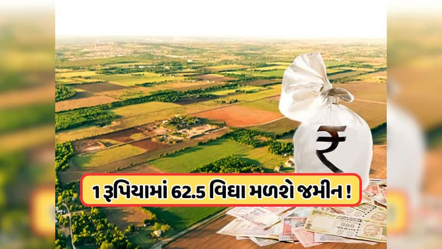  ફક્ત 1 રૂપિયામાં મળી રહી છે 25 એકર જમીન, જાણો કોણ કરી શકે છે અપ્લાય?