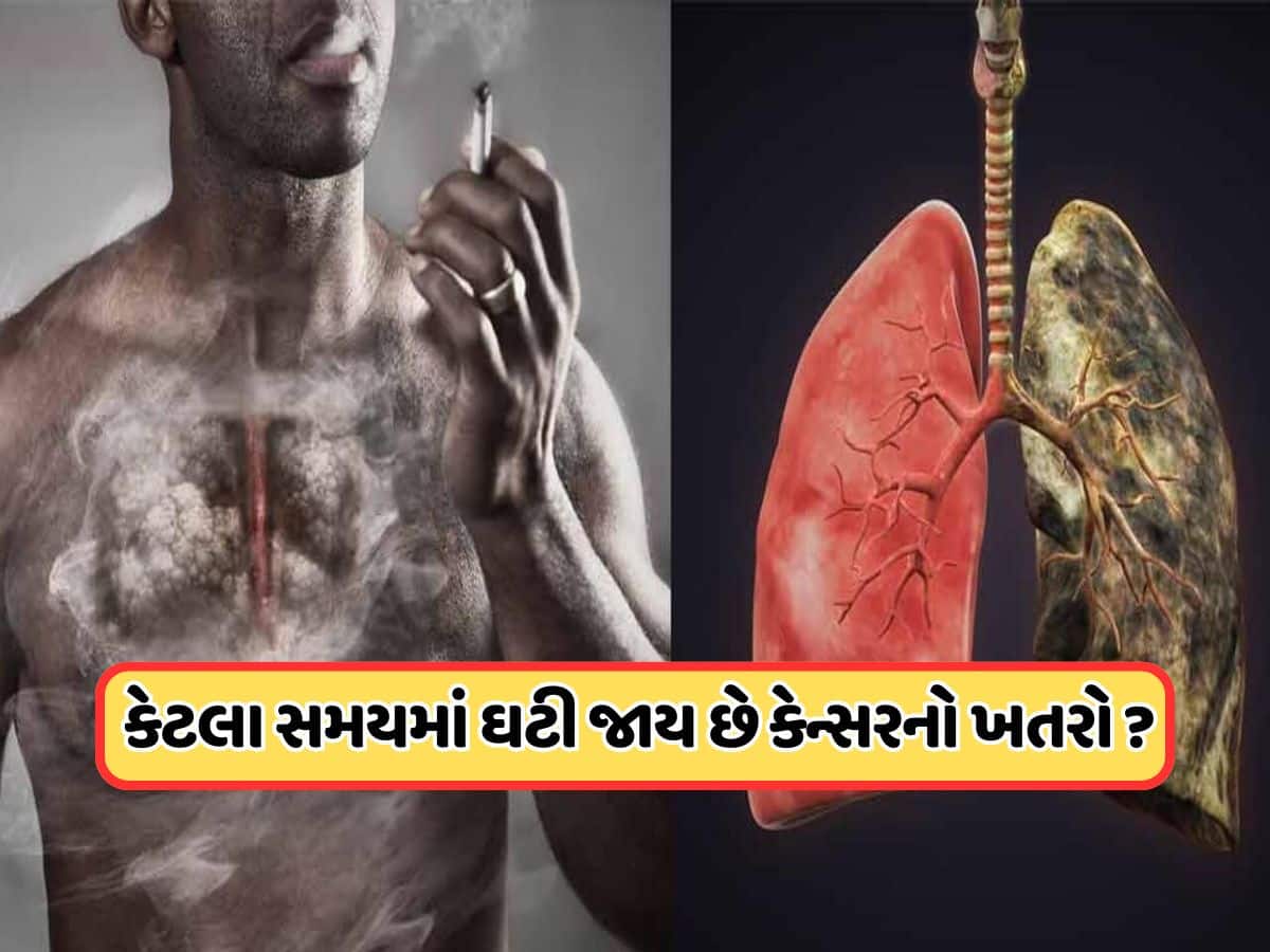 ધૂમ્રપાન છોડ્યા પછી ફેફસાંને સ્વસ્થ થવામાં કેટલો સમય લાગે છે? ડૉક્ટર આપ્યો આ જવાબ