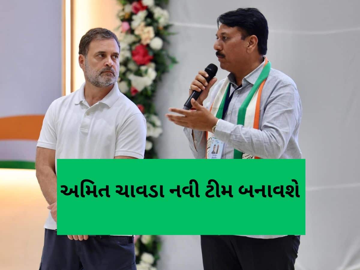 નવો ઘોડો નવો દાવ : કોંગ્રેસમાં પરિવર્તન લાવવા અમિત ચાવડા બનાવશે પોતાની સુપર ટીમ