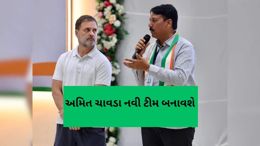 નવો ઘોડો નવો દાવ : કોંગ્રેસમાં પરિવર્તન લાવવા અમિત ચાવડા બનાવશે પોતાની સુપર ટીમ