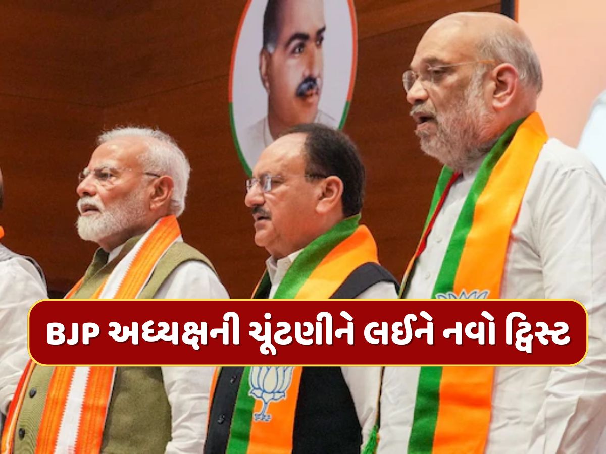 ભાજપ અધ્યક્ષની ચૂંટણીને લઈને આવ્યો નવો વળાંક, જેપી નડ્ડા પછી કોને મળશે જવાબદારી ? ભાજપ અધ્યક્ષની ચૂંટણીને લઈને આવ્યો નવો વળાંક, જેપી નડ્ડા પછી કોને મળશે જવાબદારી ?