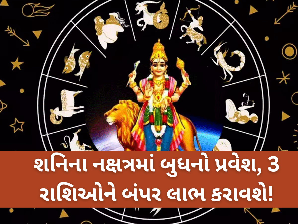 ગ્રહોના રાજકુમાર શનિના નક્ષત્રમાં પ્રવેશતા જ 3 રાશિઓને લાગશે લોટરી, આકસ્મિક ધનલાભથી તિજોરીઓ છલકાશે! ગ્રહોના રાજકુમાર શનિના નક્ષત્રમાં પ્રવેશતા જ 3 રાશિઓને લાગશે લોટરી, આકસ્મિક ધનલાભથી તિજોરીઓ છલકાશે!