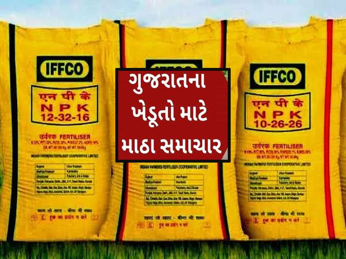 ગુજરાતના ખેડૂતોને મોટો ઝટકો : IFFCO એ વર્ષમાં બીજીવાર ખાતરના ભાવમાં તોતિંગ વધારો ઝીંક્યો ગુજરાતના ખેડૂતોને મોટો ઝટકો : IFFCO એ વર્ષમાં બીજીવાર ખાતરના ભાવમાં તોતિંગ વધારો ઝીંક્યો