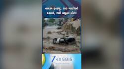 VIDEO: હિમાચલના મંડીમાં ફરીવાર વાદળ ફાટ્યું, તબાહીમાં 2થી વધુના મોત