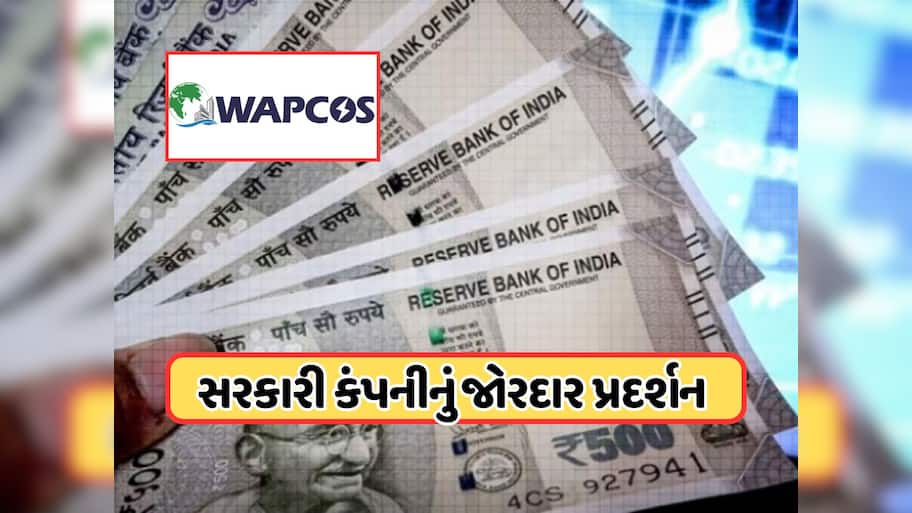 નાણાકીય વર્ષ 2024-25માં આ સરકારી કંપનીએ નોંધાવ્યો મજબૂત ગ્રોથ, ગયા વર્ષ કરતા નફામાં 9.8%નો વધારો 