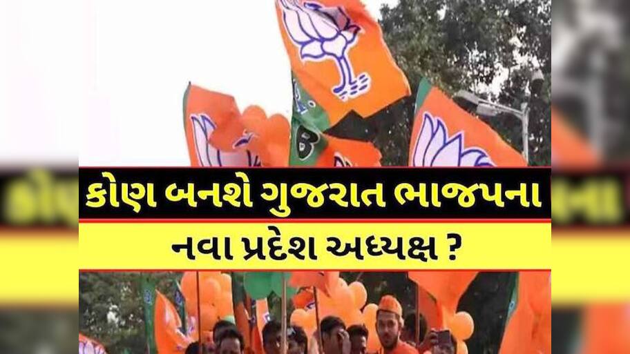ગુજરાતમાં નવા ભાજપ અધ્યક્ષને લઈને સૌથી મોટા સમાચાર: જાણો ક્યારે મળશે નવો કેપ્ટન!