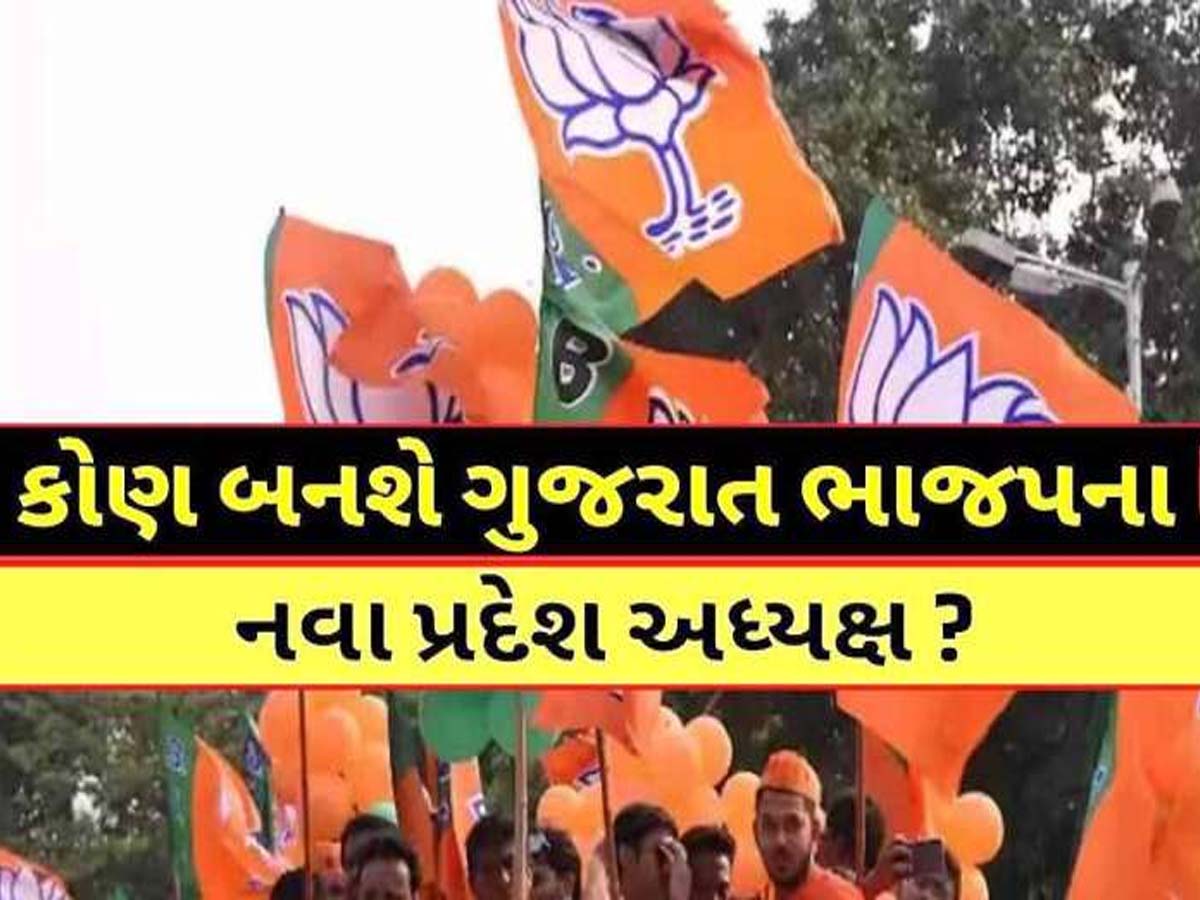ગુજરાતમાં નવા ભાજપ અધ્યક્ષને લઈને સૌથી મોટા સમાચાર: જાણો ક્યારે મળશે નવો કેપ્ટન! ગુજરાતમાં નવા ભાજપ અધ્યક્ષને લઈને સૌથી મોટા સમાચાર: જાણો ક્યારે મળશે નવો કેપ્ટન!