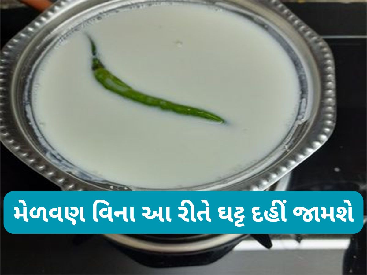 Cooking Tips: સ્માર્ટ મહિલાને ખબર હોવી જોઈએ આ 4 કુકીંગ ટીપ્સ, રસોડાની નાની-મોટી ઝંઝટનો અંત આવી જશે Cooking Tips: સ્માર્ટ મહિલાને ખબર હોવી જોઈએ આ 4 કુકીંગ ટીપ્સ, રસોડાની નાની-મોટી ઝંઝટનો અંત આવી જશે